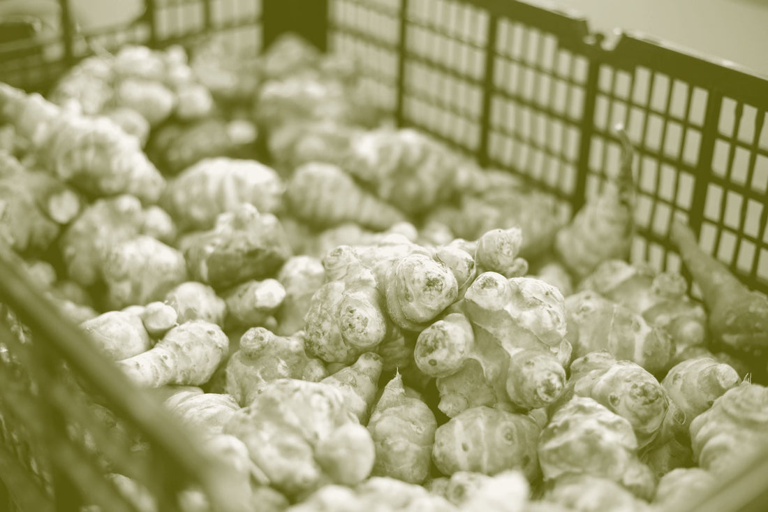 A crate heaped with knobbly unwashed Jerusalem artichoke tubers.