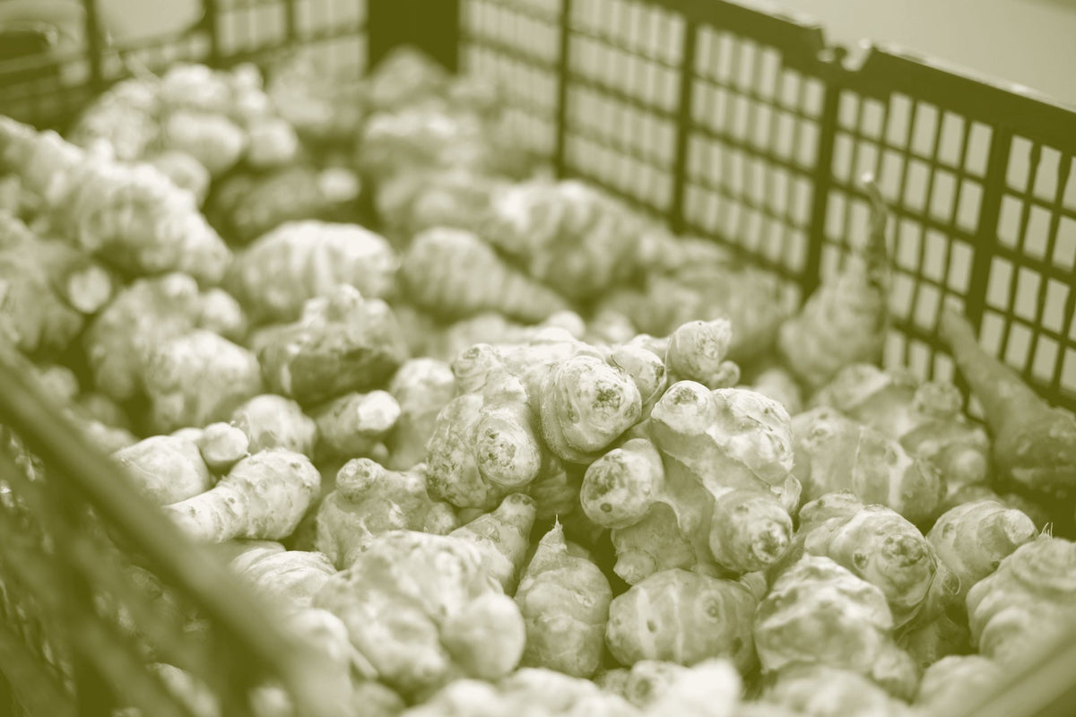 A crate heaped with knobbly unwashed Jerusalem artichoke tubers.