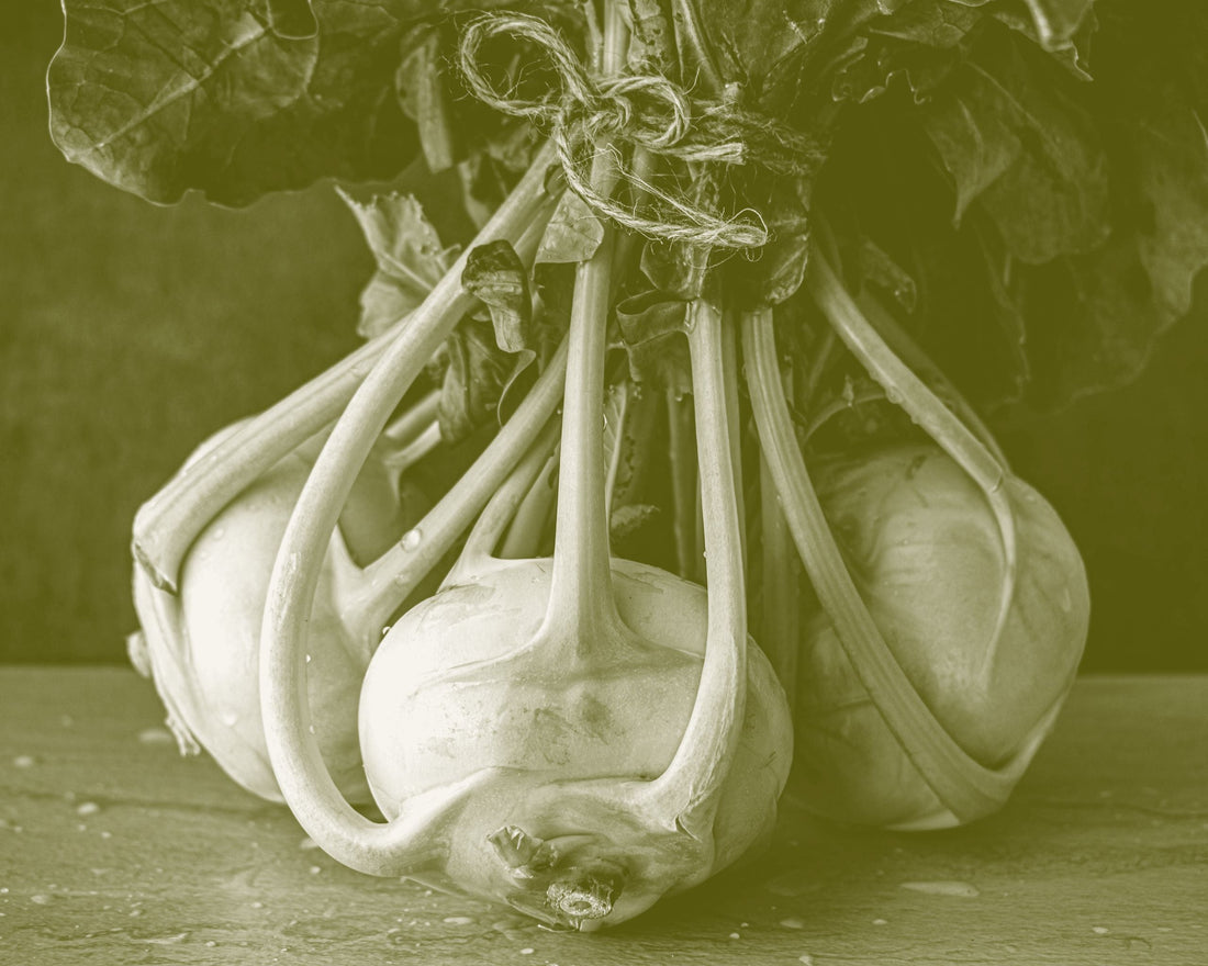 Three kohlrabi bulbs tied with twine, stems and leaves still attached, on a dark surface.