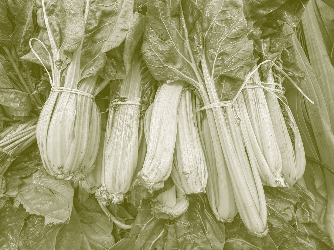 Bunches of silverbeet tied and laid overlapping, pale white stems against dark crinkled leaves.