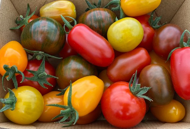 Lonsdale Tomato Farm