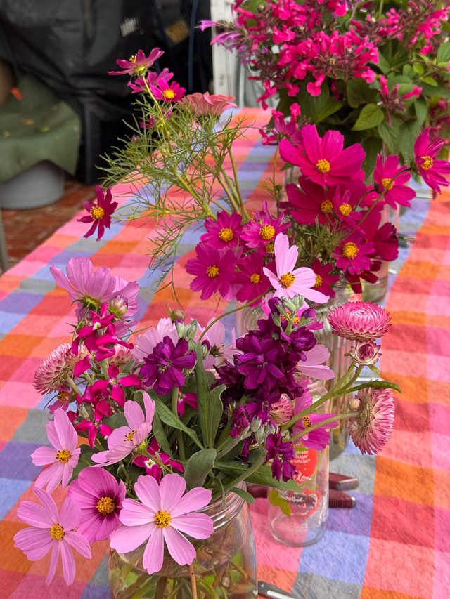 The Corner Garden